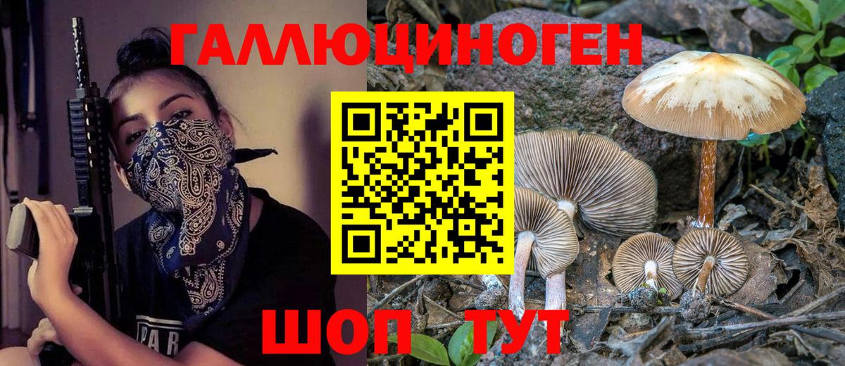 Галлюциногенные грибы прущие грибы Брянск